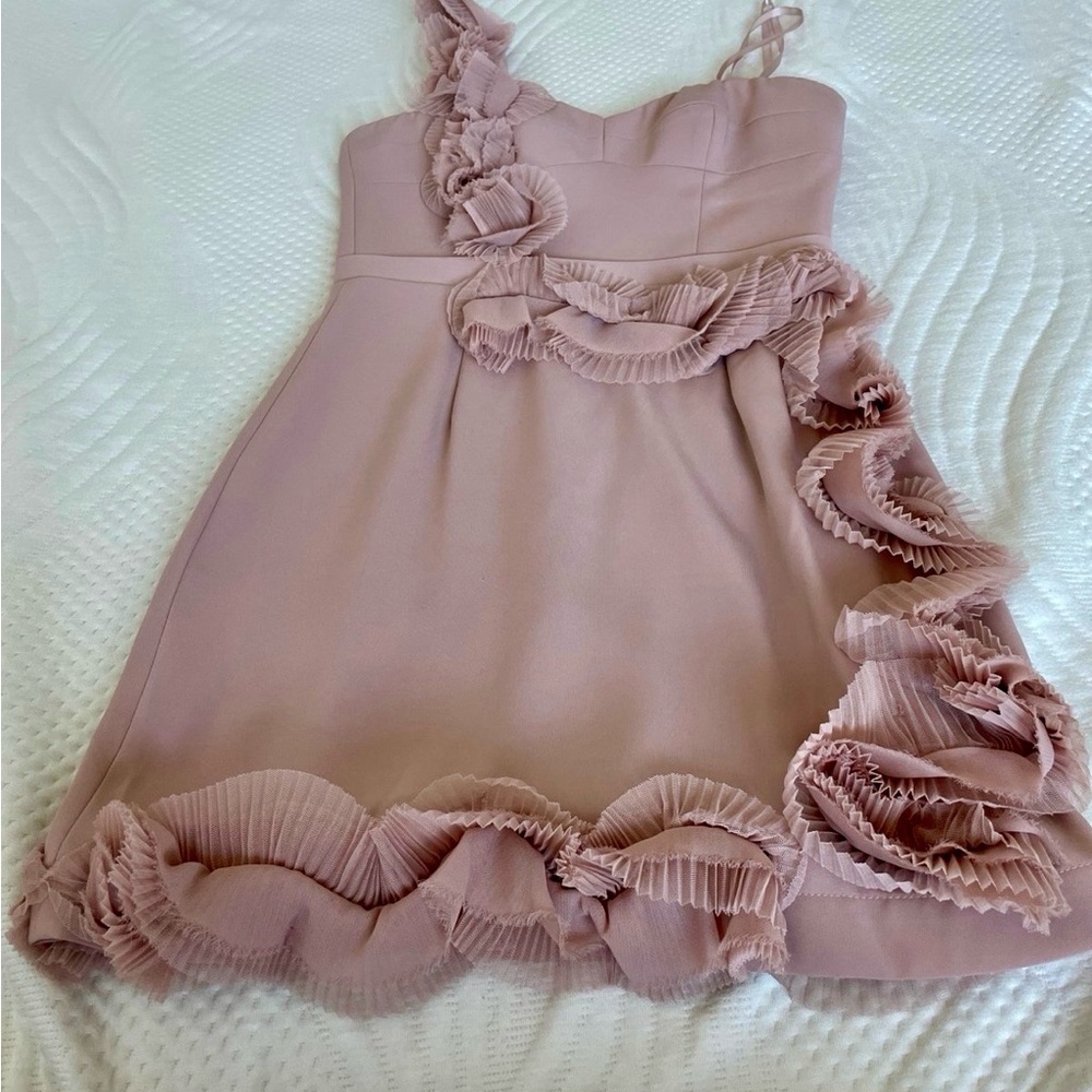 BCBGMaxAzria Blush One-Shoulder Ruffle Mini Dress - Picture 6 of 6